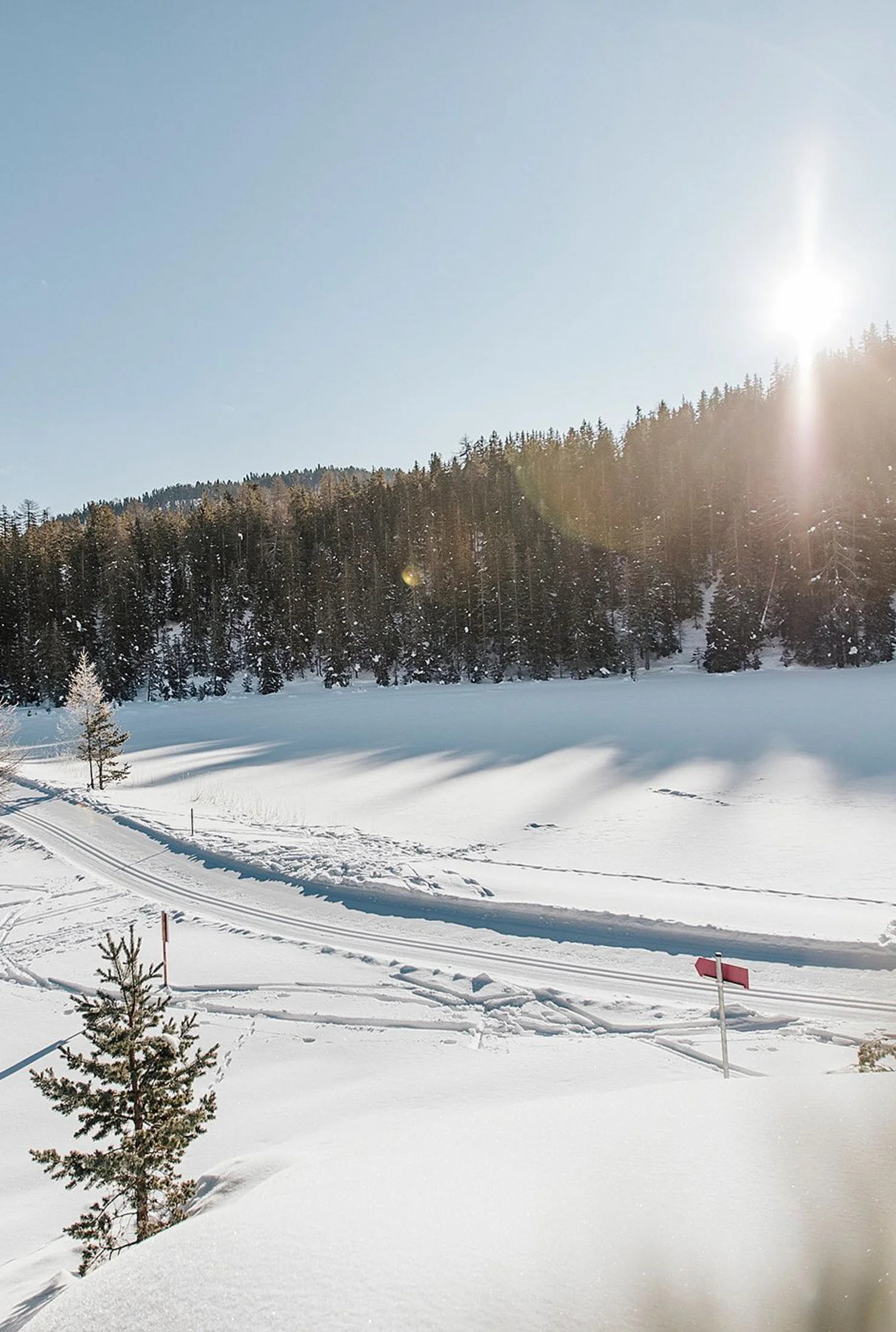 Escursioni invernali