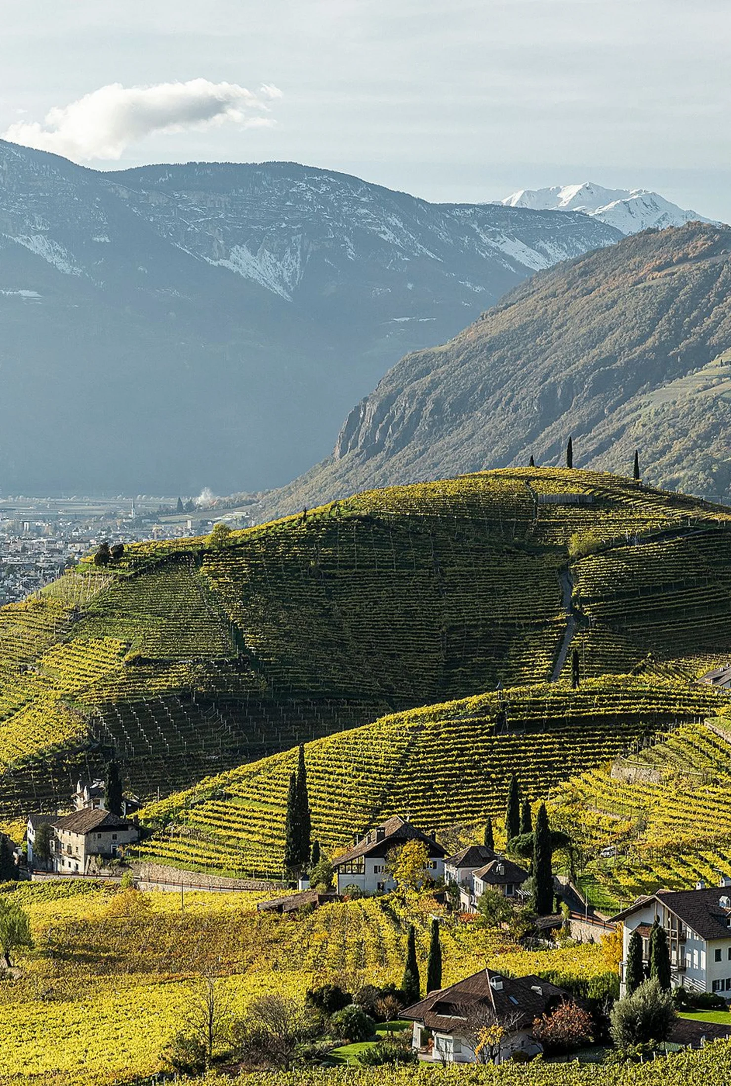 Urlaub im Vinschgau