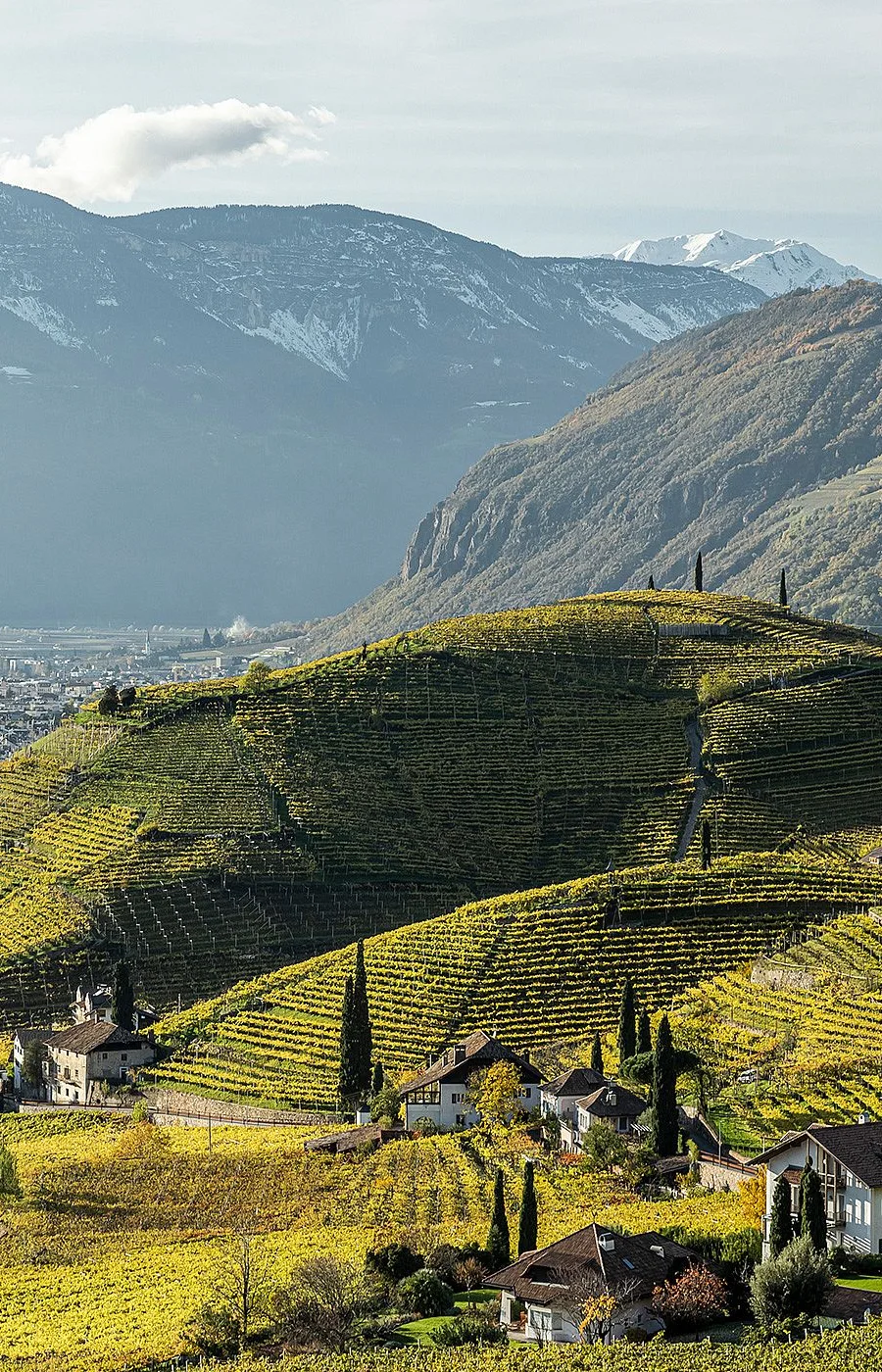 Vacation in the Vinschgau Valley