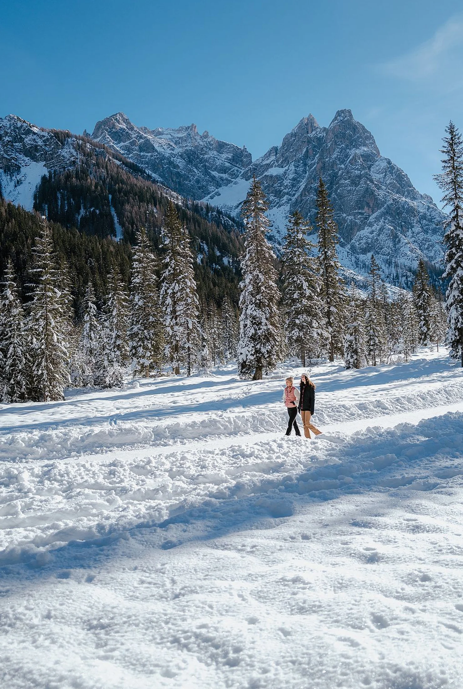 Winterwandern